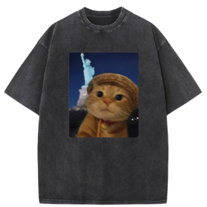 Paris Victory Cat Washed T-shirt