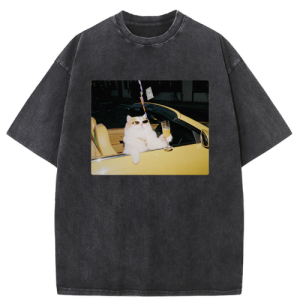 Cool Convertible Cat Washed T-shirt