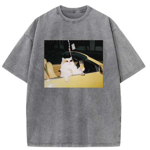 Cool Convertible Cat Washed T-shirt - Image 2