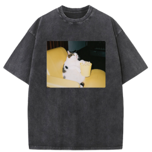 Cool Popcorn Cat Washed T-shirt