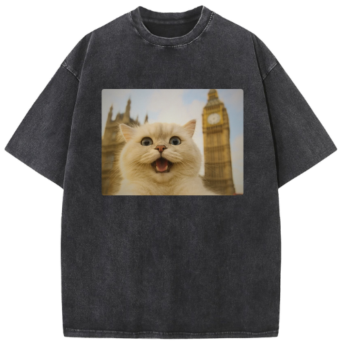 London Big Ben Cat Washed T-shirt